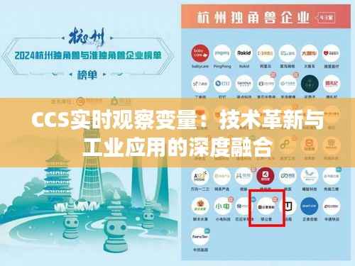CCS实时观察变量：技术革新与工业应用的深度融合