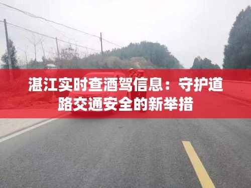 湛江实时查酒驾信息：守护道路交通安全的新举措