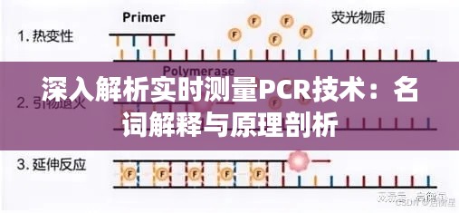 深入解析实时测量PCR技术：名词解释与原理剖析