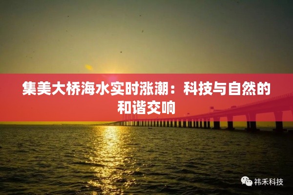 集美大桥海水实时涨潮：科技与自然的和谐交响
