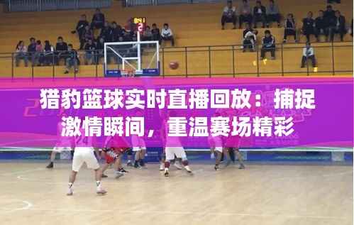 猎豹篮球实时直播回放：捕捉激情瞬间，重温赛场精彩