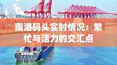 南港码头实时情况：繁忙与活力的交汇点