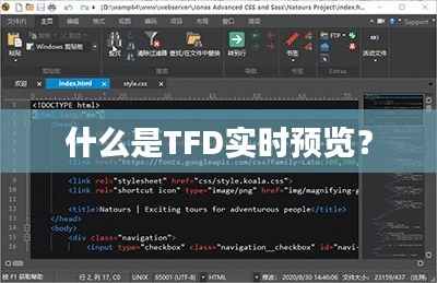 什么是TFD实时预览？