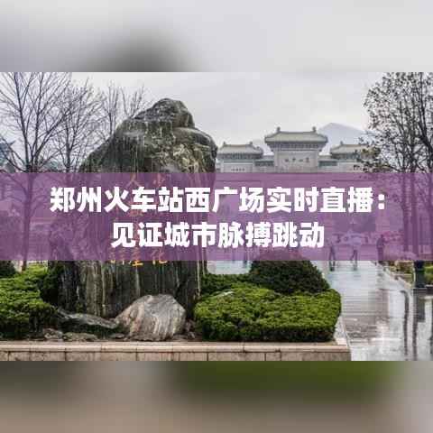 郑州火车站西广场实时直播：见证城市脉搏跳动