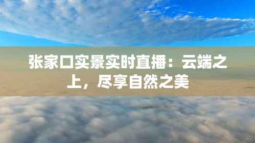 张家口实景实时直播：云端之上，尽享自然之美