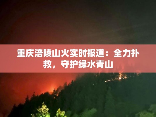 重庆涪陵山火实时报道：全力扑救，守护绿水青山