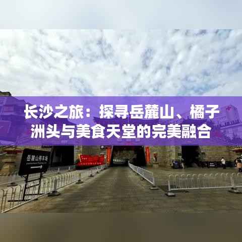 金石为开 第5页