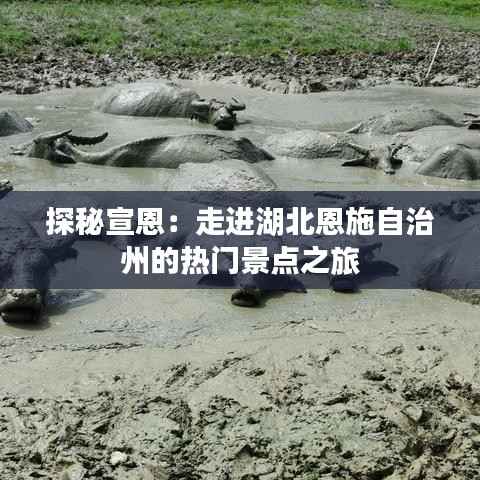 探秘宣恩：走进湖北恩施自治州的热门景点之旅