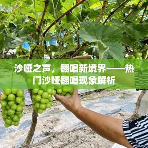 沙哑之声，翻唱新境界——热门沙哑翻唱现象解析