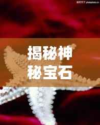 揭秘神秘宝石——海星的魅力与价值