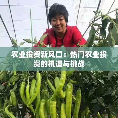 农业投资新风口：热门农业投资的机遇与挑战