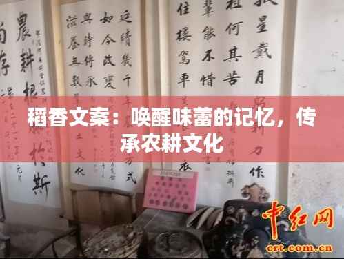 稻香文案：唤醒味蕾的记忆，传承农耕文化