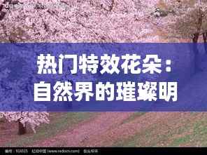 热门特效花朵：自然界的璀璨明珠