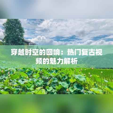穿越时空的回响：热门复古视频的魅力解析