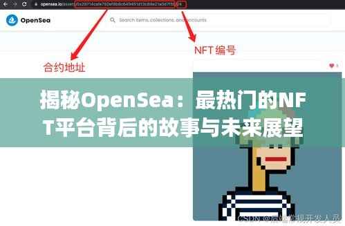 揭秘OpenSea：最热门的NFT平台背后的故事与未来展望