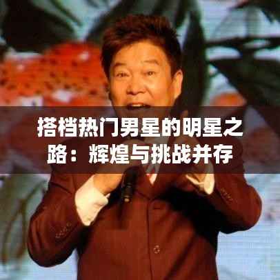 搭档热门男星的明星之路：辉煌与挑战并存