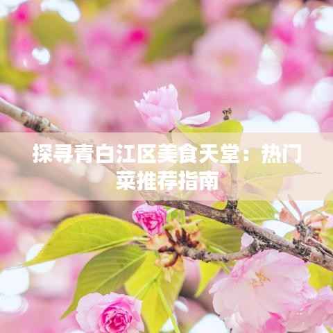 探寻青白江区美食天堂：热门菜推荐指南