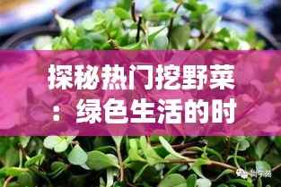 探秘热门挖野菜：绿色生活的时尚潮流