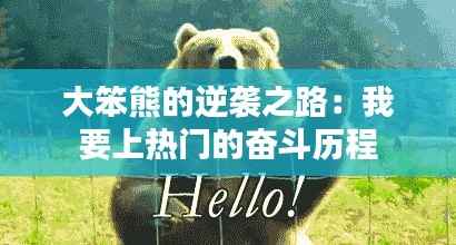 大笨熊的逆袭之路：我要上热门的奋斗历程