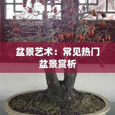 没张倒置 第5页