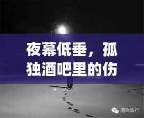 夜幕低垂，孤独酒吧里的伤心故事
