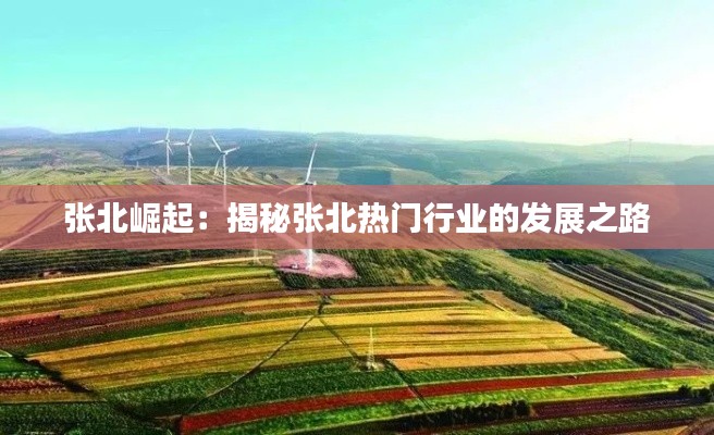 张北崛起：揭秘张北热门行业的发展之路
