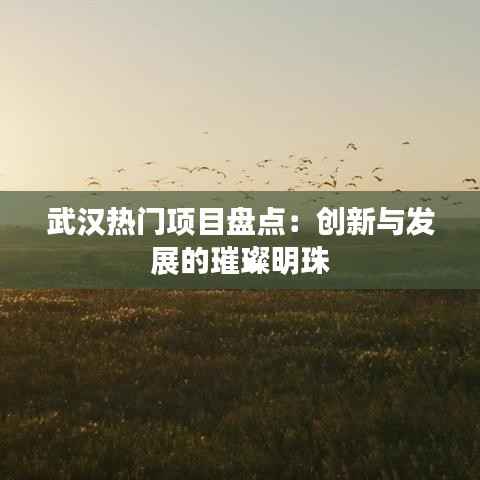 蛙蟆胜负 第6页