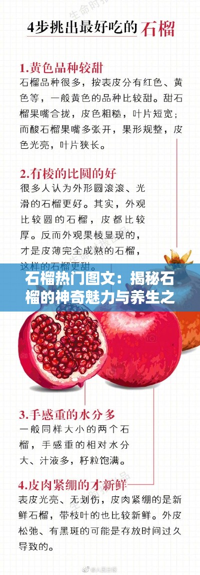 石榴热门图文：揭秘石榴的神奇魅力与养生之道