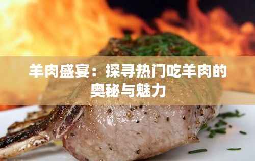 羊肉盛宴：探寻热门吃羊肉的奥秘与魅力