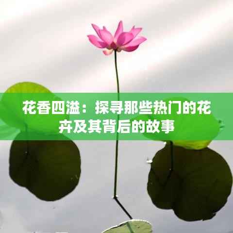 花香四溢：探寻那些热门的花卉及其背后的故事
