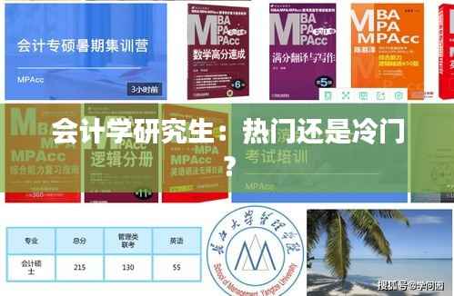 会计学研究生：热门还是冷门？