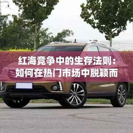 红海竞争中的生存法则：如何在热门市场中脱颖而出