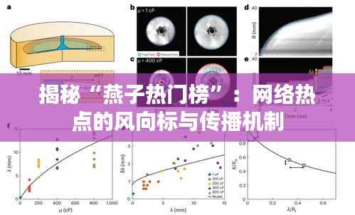 揭秘“燕子热门榜”：网络热点的风向标与传播机制