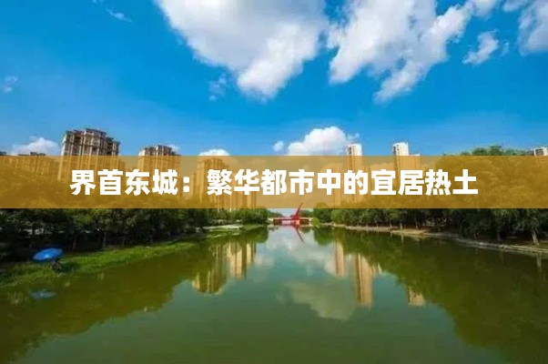 界首东城：繁华都市中的宜居热土