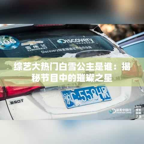 综艺大热门白雪公主是谁：揭秘节目中的璀璨之星
