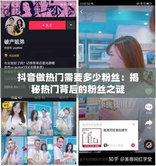 抖音做热门需要多少粉丝：揭秘热门背后的粉丝之谜