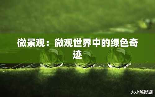 插翅难飞 第4页