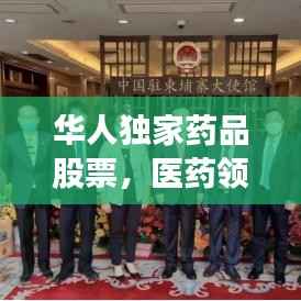 华人独家药品股票，医药领域新机遇探索