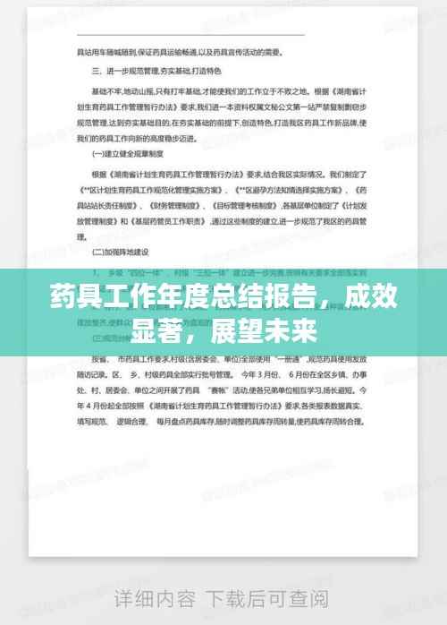 药具工作年度总结报告，成效显著，展望未来
