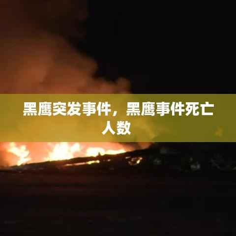 黑鹰突发事件，黑鹰事件死亡人数 