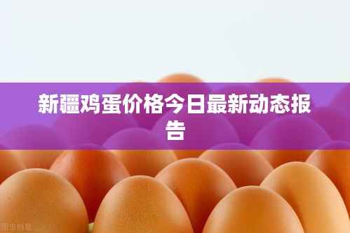 新疆鸡蛋价格今日最新动态报告