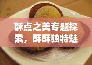 酥点之美专题探索，酥酥独特魅力的独特展现