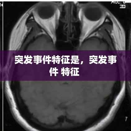 突发事件特征是，突发事件 特征 