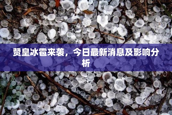 花枝招展 第4页