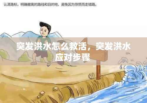突发洪水怎么救活，突发洪水应对步骤 