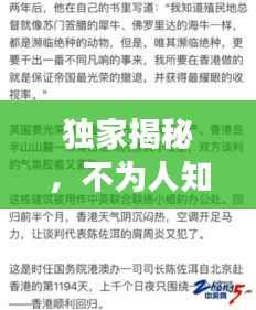 独家揭秘，不为人知的背后故事重磅曝光！