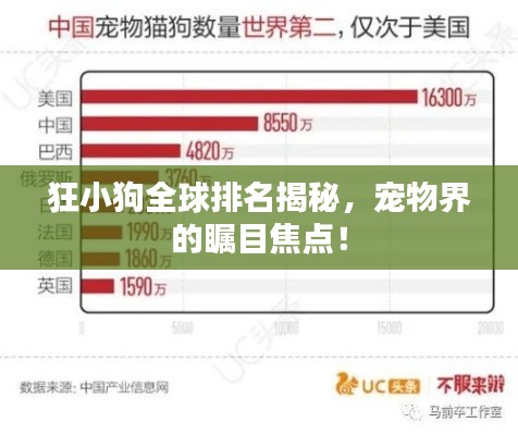 百鸟齐鸣 第5页