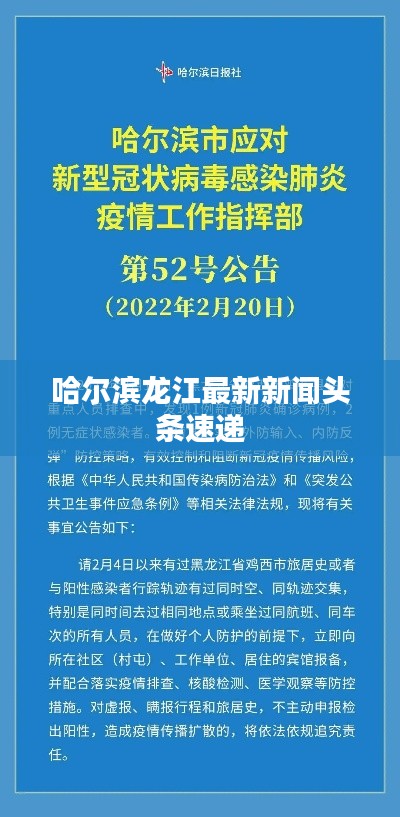 哈尔滨龙江最新新闻头条速递
