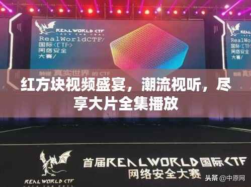 衣无二彩 第4页