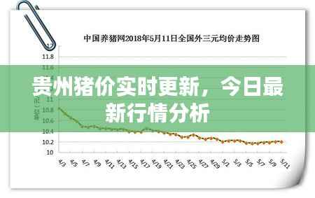 贵州猪价实时更新，今日最新行情分析